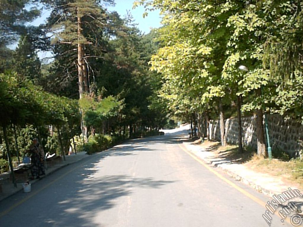 View of Termal-Gokcedere Village in Yalova city of Turkey.
